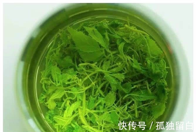 绞股蓝|吃2斤木耳,不如吃1两它,控住血压软化血管,三高自然不来扰