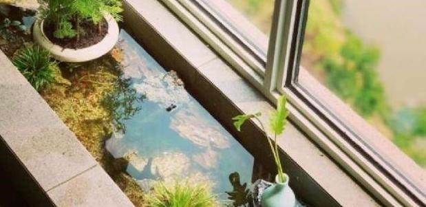 阳台|别再用老式阳台了,只需稍微改动一下,赏花赏鱼赏风景,好看极了