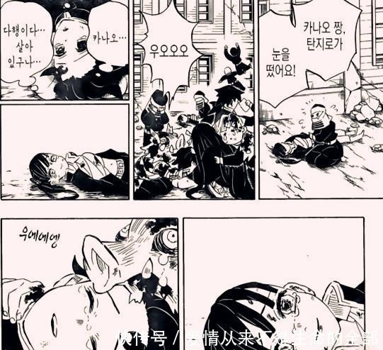 香奈乎|鬼灭之刃炭香存活本是皆大欢喜,鳄鱼却仍对此战大功臣赐予地狱