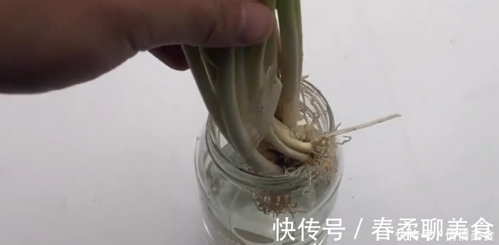 小葱插进杯子里，真是厉害了，可惜今天才学会，看完我也去试一试
