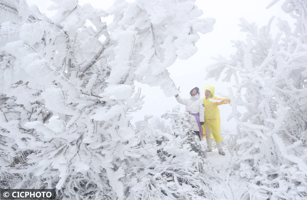 汪普林|你等的雪来了！