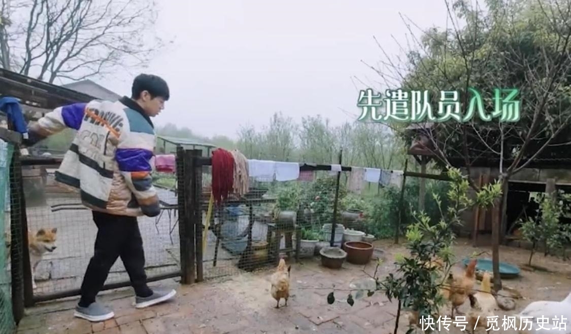 何老师 看张艺兴是如何一步一步被“骗”进鸡窝的?