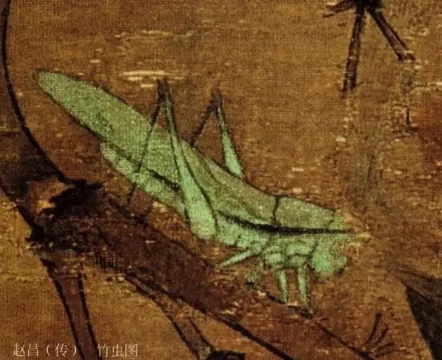 蝈蝈$国画技法图典——草虫篇:蝗虫 蚂蚱 蝈蝈 螽斯 螳螂 蟋蟀