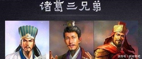 智慧|为什么诸葛家族三兄弟,故意分开投奔了魏蜀吴?看看大家族的智慧