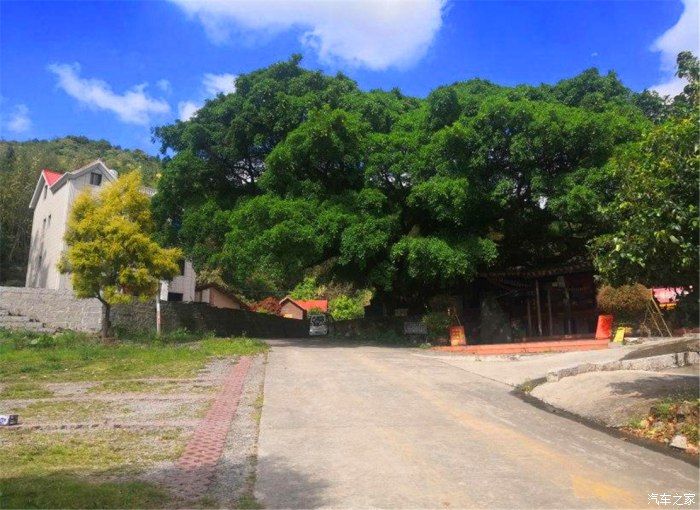 拍拍车|悠闲的周末，带孩子去山里看风景