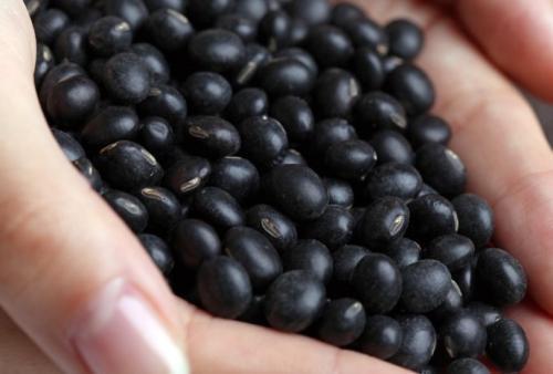 雌激素|女人过了40容易老,3种食物,补雌激素,调节内分泌,抗衰老