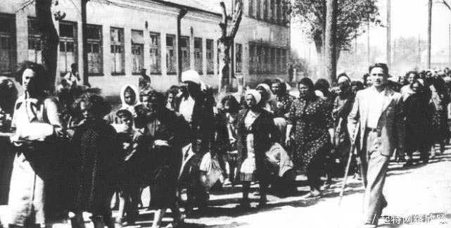 立陶宛|最恨俄罗斯的国家,200万人手拉手穿越三国,只为向俄罗斯示威