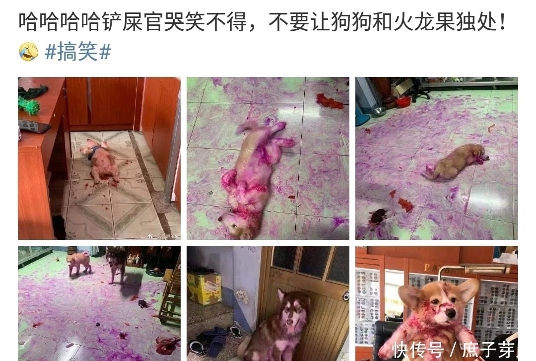 电梯|“不懂就问，女孩子的脚上戴这个是什么意思啊”单纯为了看吗