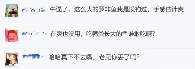 6斤!鸭子塘里的罗非鱼体型惊人,因常年吃鸭粪?