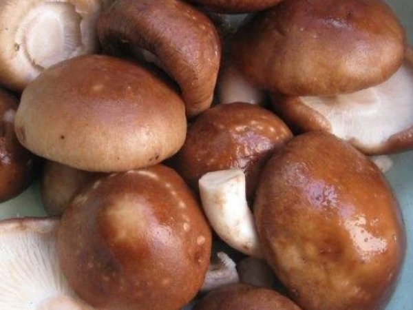 食物|再苦不能苦了孩子!让孩子多吃这4种食物,提高免疫力助健康!