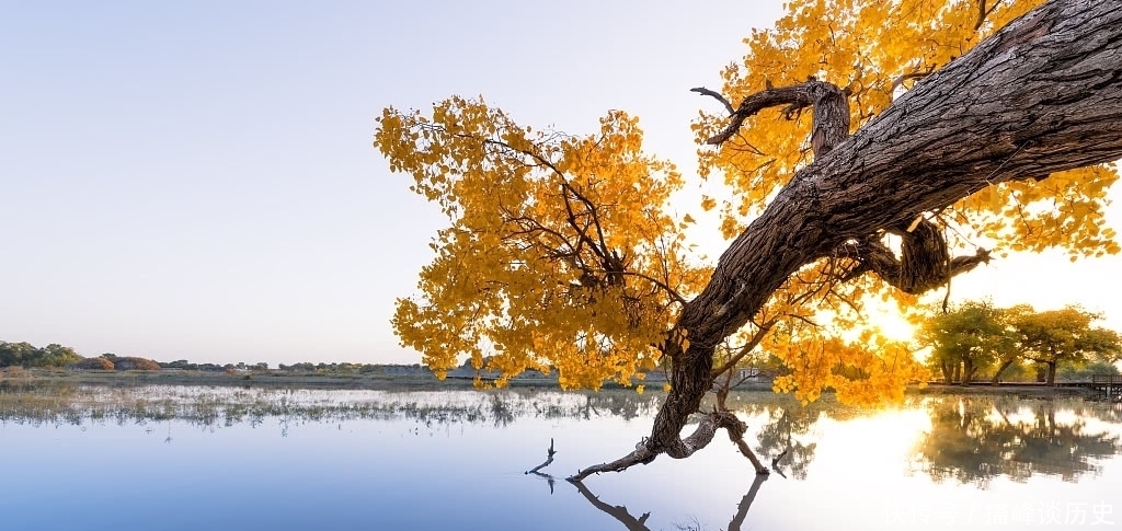西域大探险时代,不爱文物的美国探险家,埃尔斯沃思·亨廷顿