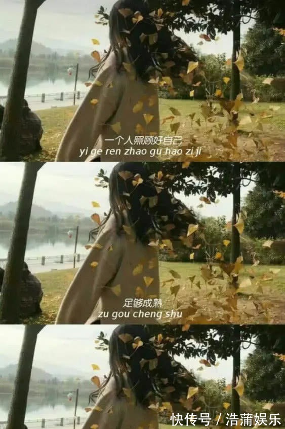 壁纸|最近火了“我走了”壁纸死缠烂打的样子很丑,我喜欢一个人走!