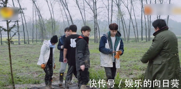 脾氣|《向往5》最懶嘉賓又來了,在節目種樹種到“吐”,脾氣都上來了