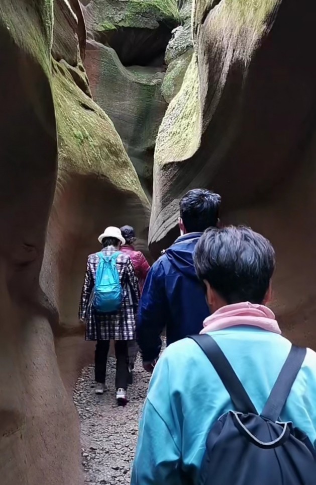 风景|实拍形态万千的雨岔大峡谷风景