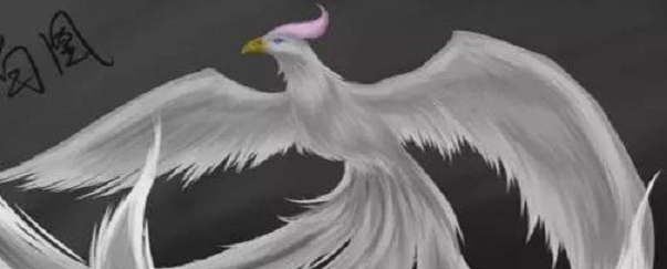 传说中|上古凤凰其实分为五种,你知道几个,其中两种名字一般人读不出来