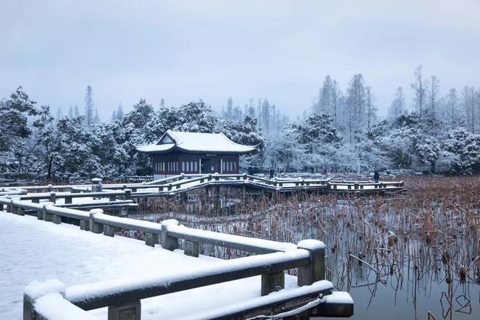 八宝饭&美好食间 | 大雪寒渐浓，万物冬藏待春来