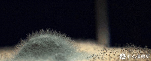 厕所里有异味怎么办?学会日本太太的6个小妙招,让厕所一尘不染