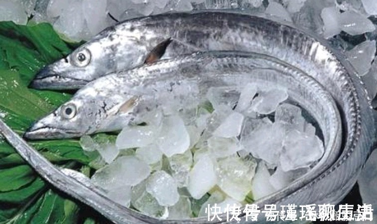 海带|中国6种最便宜海鲜，5块钱一斤，和蔬菜一样便宜，非常美味