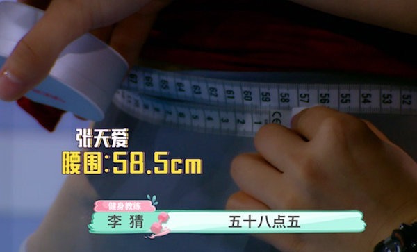 张天爱现场量腰围,比钱枫的头围还小,“蚂蚁腰”让网友羡慕!