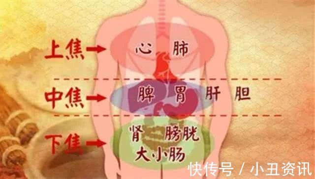 黄芩|一个3味药的经典配方，健脾除湿，去积热，上中下三焦之火皆可除