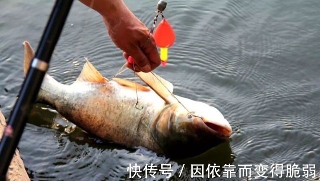 技巧|【钓鱼技巧】钓鱼时一个不经意的操作,竟是切线的罪魁祸首