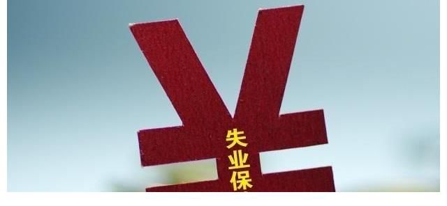 新招|最大一波失业、离职潮或将到来，多地有新招，待业在家也别慌