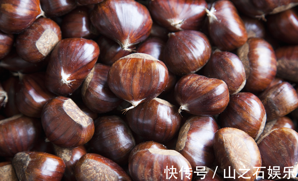 气血|晚上起夜次数过多常吃此物强筋骨养气血,改善腰膝酸软和夜尿多