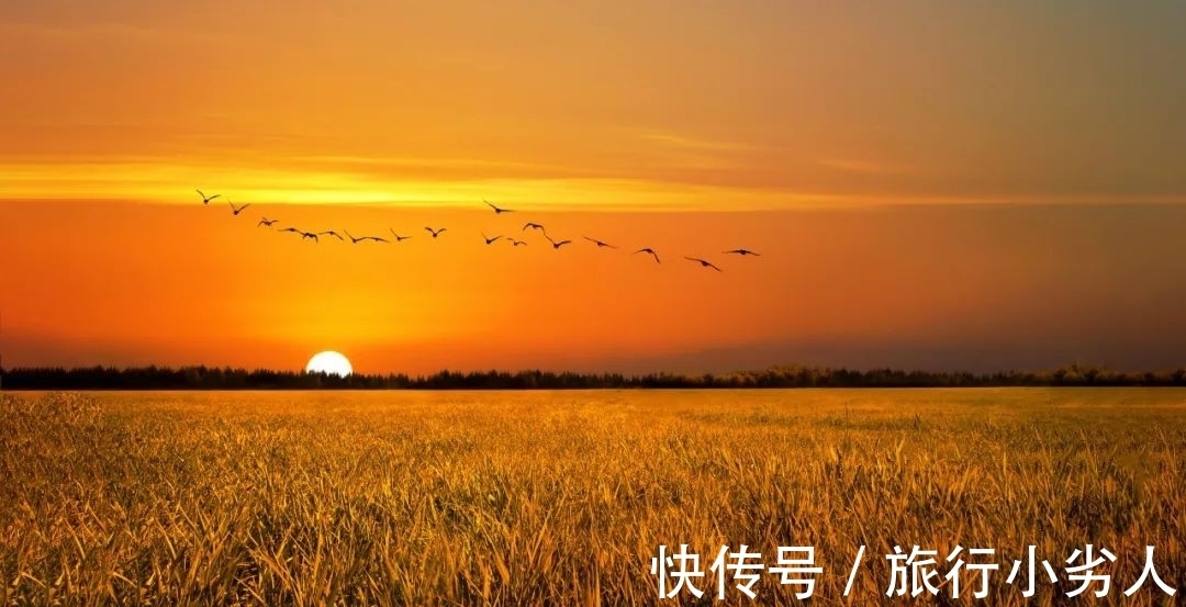 丹枫&读秋,一卷诗书