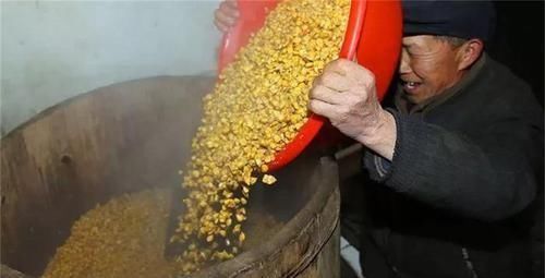 农村酿酒全过程曝光,你喝过的酒原来是这样酿的