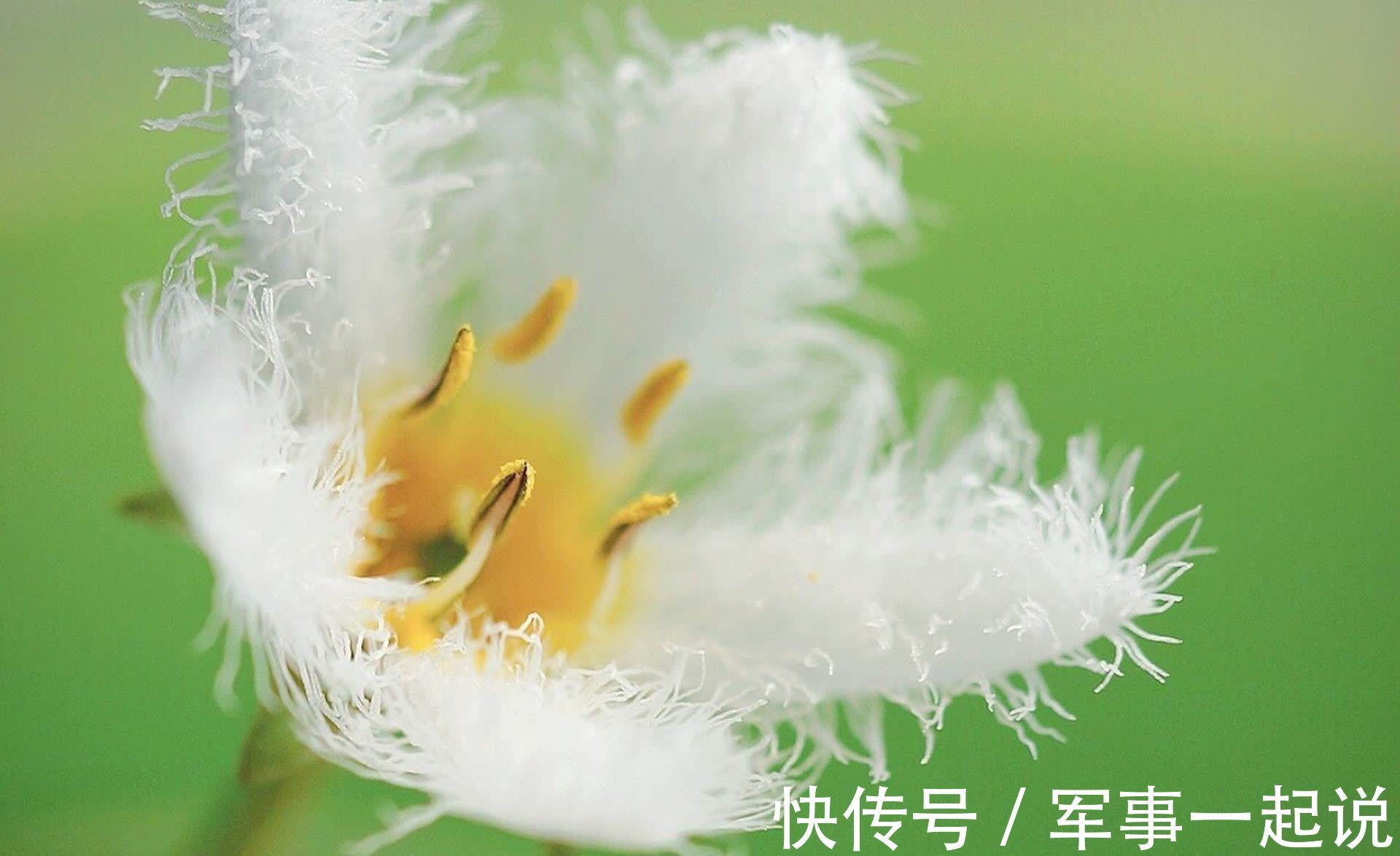 母亲|失败母亲的5个特点,如果一条没中,那就恭喜了!