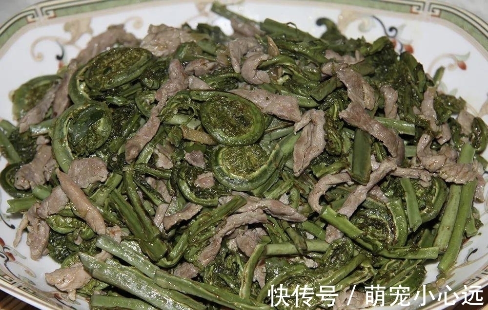 这野菜有黄瓜清香味，每年仅半个月采摘期，春天一过就成草