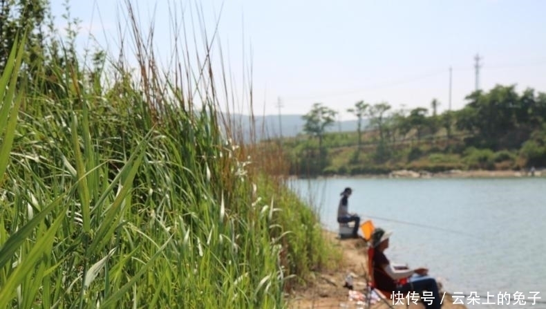 野钓大鱼进窝后,这三件事千万别做