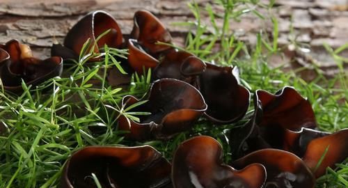 對身體很好的3種食物，堅持吃一些，提高免疫力，有益健康