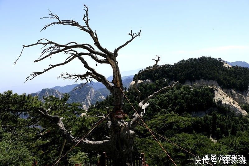 不登华山，何以知山险？有了缆车，都能登华山