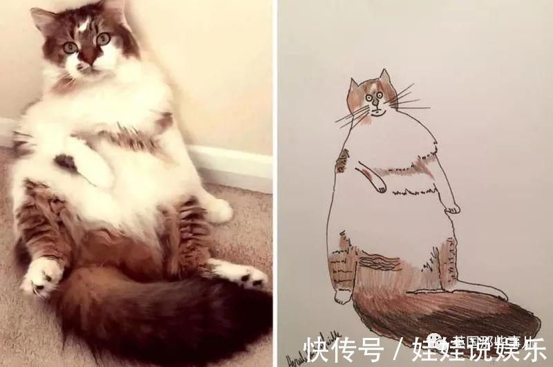 pet#随手涂鸦,自己觉得是“垃圾”的画作,没想到却在网上卖疯了