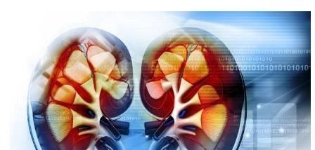 原发性高血压|原来这些高血压都不用长期吃药,这下总算明白了