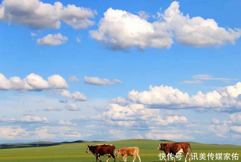 婚礼宫|异域风情的欧式风格城市，中国居然有