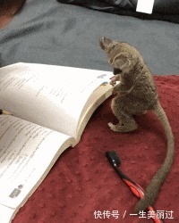 |搞笑GIF：单身久了什么事情都做的出来， 是时候找个女朋友了