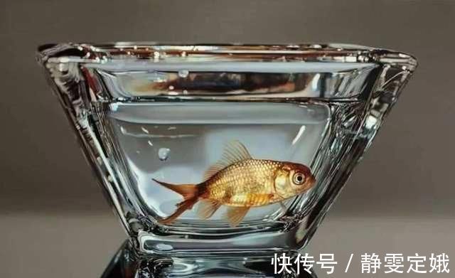超写实主义!他画了一条金鱼,放大5倍后,网友大呼:相机可以扔了
