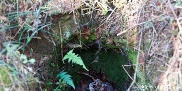 曹操|史上最牛的盗墓贼不是曹操、孙殿英,而是连盗17座皇陵的他