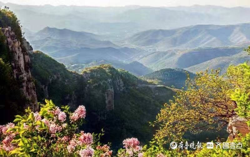 景区|倒计时四天！全年免门票无限次畅游“齐惠游”淄博旅游年卡将发行