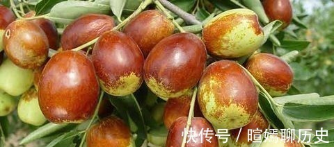 食用|每天吃五粒红枣对身体好,但是不能与它搭配一起吃,你还在吃吗