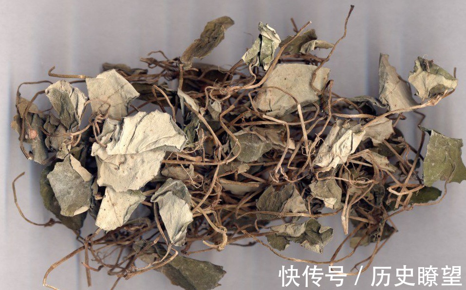 化痰止咳|久咳不止，不要不停吃药，不妨试试此野草，化痰止咳，早吃早受益