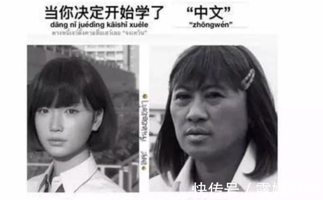 梗图&外国人吐槽学中文难度大,几张梗图看出真相,网友看完笑出鹅叫