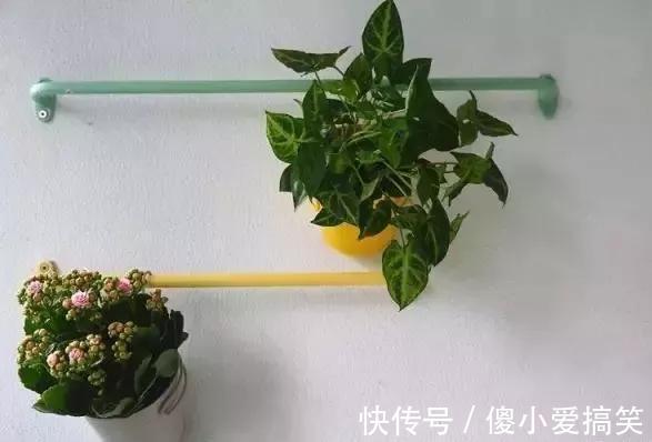 花园|3平米小阳台,也能变花园,有露台、阳台的千万别浪费!