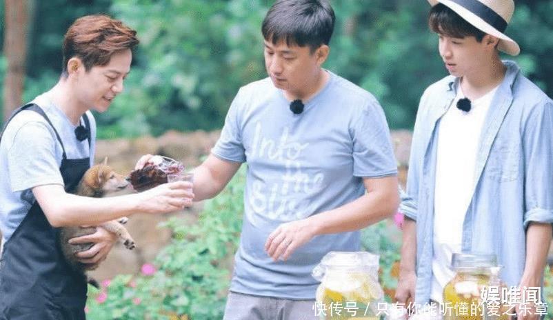 锯子|《向往5》黄磊智商下线,接连抱怨农具不给力,弹幕揭开了真相