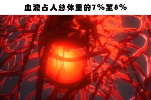 蹄兔|即便真正的学霸也未必知晓的9个有趣的冷知识