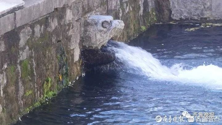 水位|三股水变成了四股！济南黑虎泉现新“出水口”？景区回应