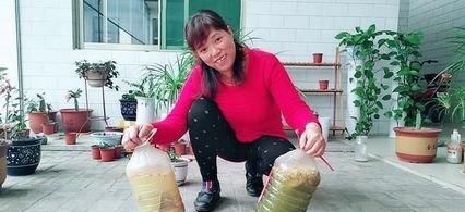 花海|吴大姐养花,7天浇一次肥水,土壤肥沃疏松,家里成花海