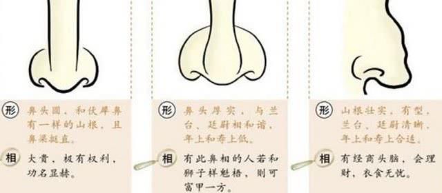 道理|祖宗为何会“男看鼻子女看嘴,一生富贵少是非”背后有啥道理
